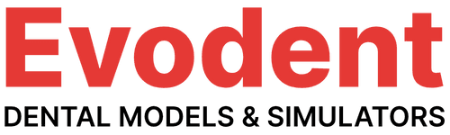 Evodent Logo