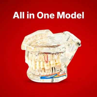 All in One Models