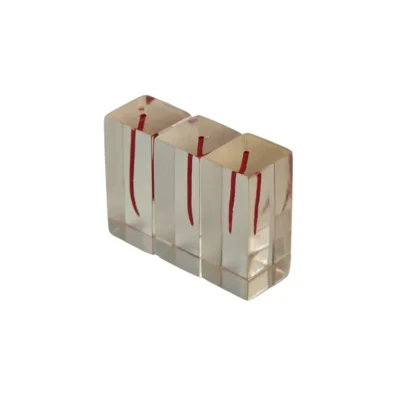 Evodent Root Canal Curvature Training Blocks (Pack of 3) – Straight, Moderate & Severe Curved Canal Models for Endodontic Practice Evodent Root Canal Curvature Training Blocks (Pack of 3) - Straight, Moderate & Severe Curved Canal Models for Endodontic Practice