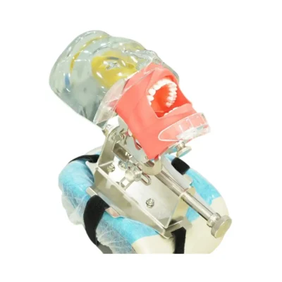 Evodent Signature Dental Phantom Head Manikin with Headrest Mount and Drainage System Head with Drain training featuring a built in drain Designed for realistic typodont practice and pre clinical simulation