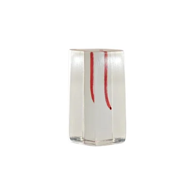 Evodent Endodontic Root Canal Practice Training Block, RCT Block For Students and Workshops