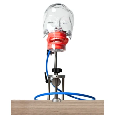 Evodent Signature Dental Training Phantom Head Manikin with Table Mount and Drain Evodent table-mount phantom head designed for dental training, securely fixed to a workstation. Includes an integrated drain system for realistic simulation of clinical procedures
