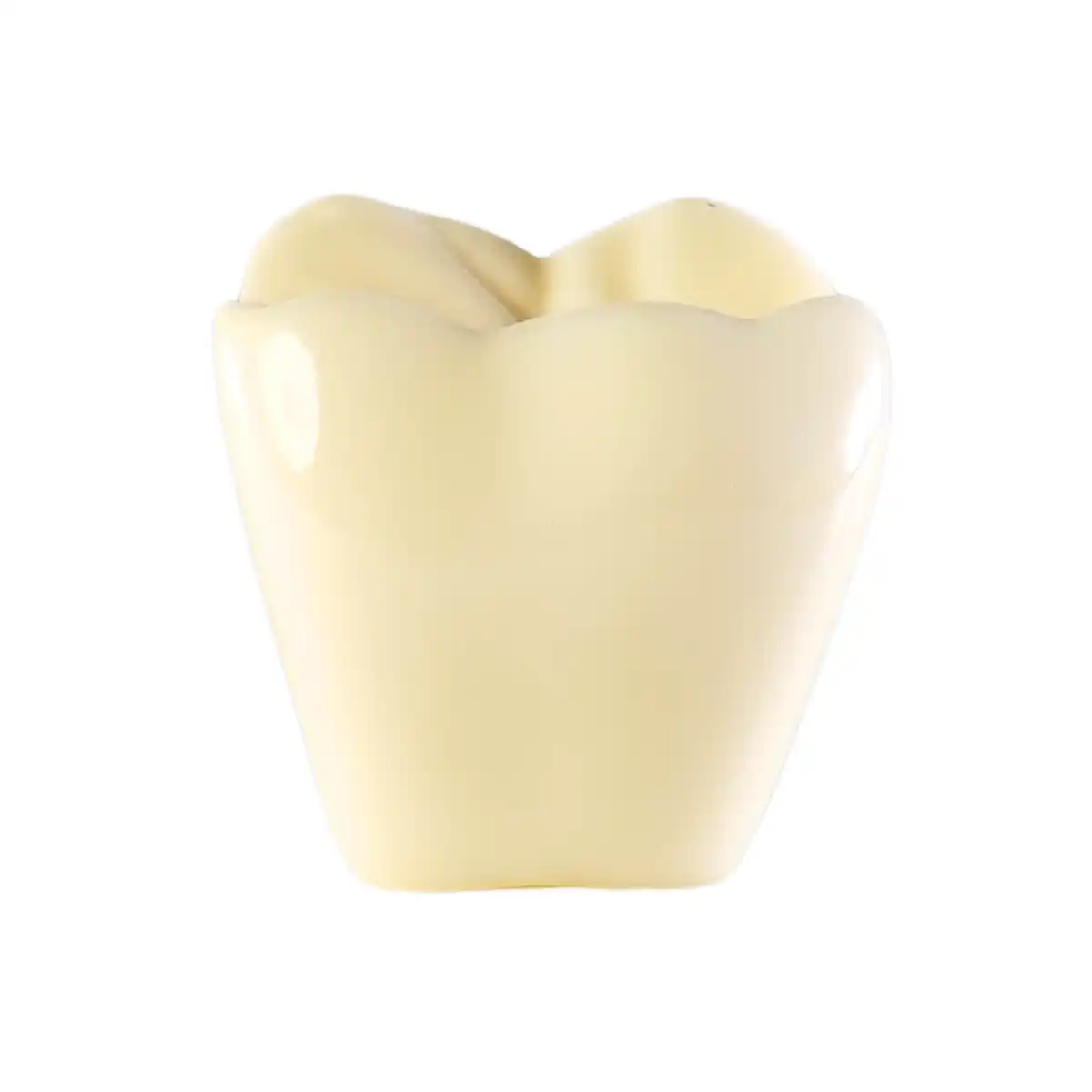 Evodent Three Part Implant Model With Clear Base | Buy Now At Evodent Evodent three part implant model with clear base