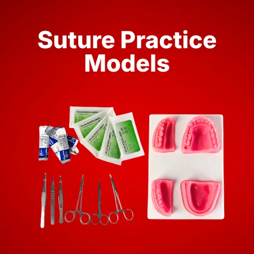Buy Suture Practice Models Online | Fast Delivery by Evodent