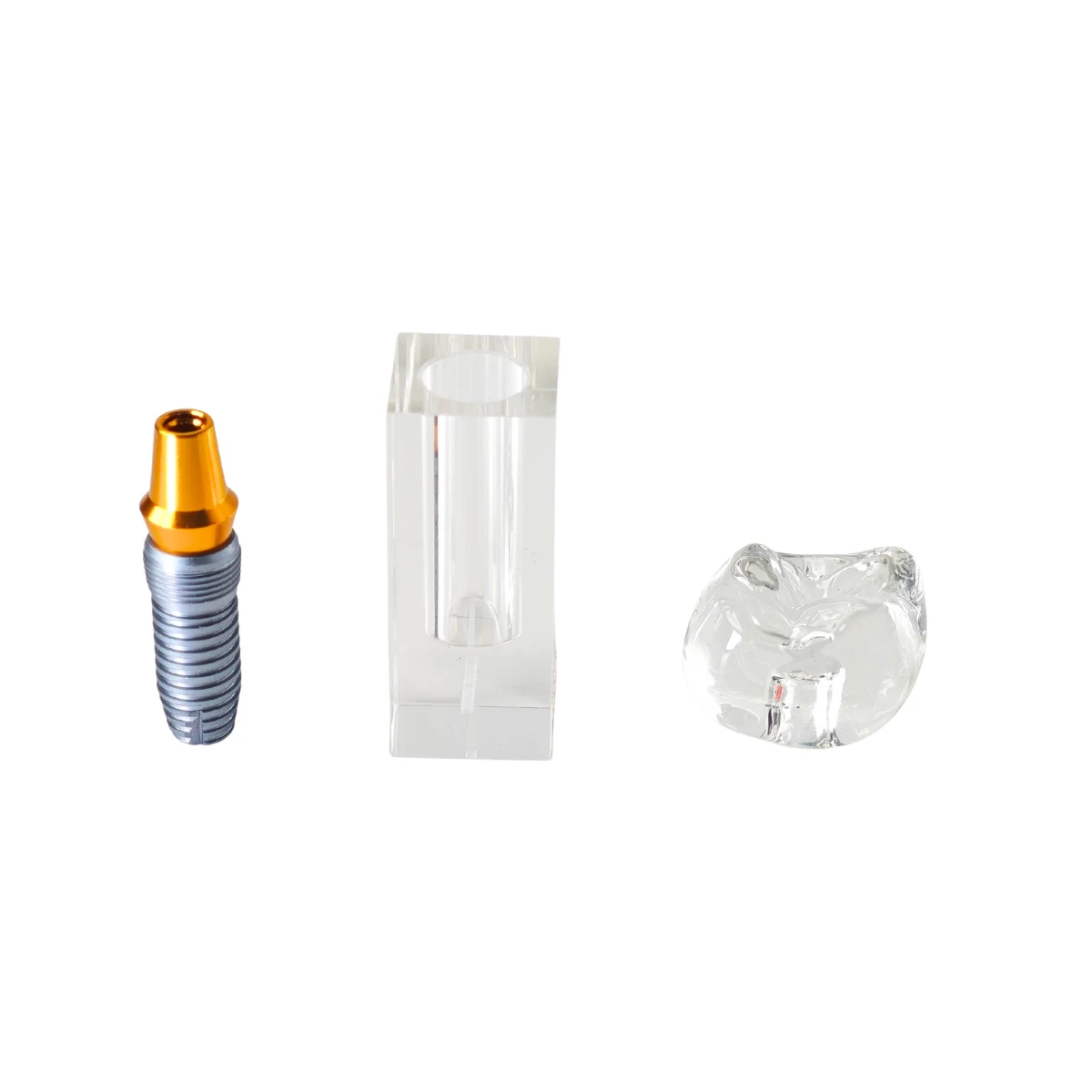 Evodent Implant Display Demonstration Model For Chairside Patient Education | Buy Now At Evodent Evodent implant display demonstration model for chairside patient education