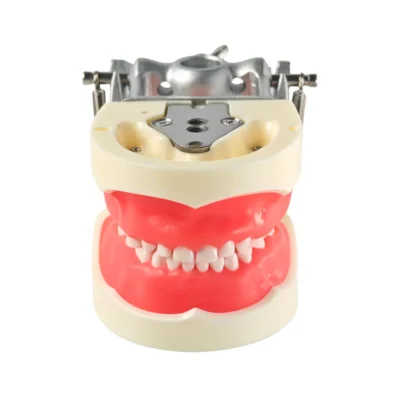 Evodent Pediatric Dental Cast Mold – Primary Teeth, Upper and Lower Jaw Evodent Pediatric Dental Cast Mold - Primary Teeth, Upper and Lower Jaw