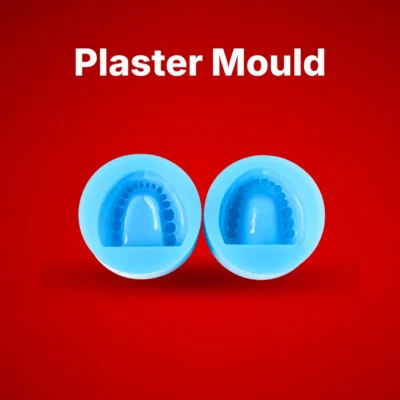 Plaster Mold