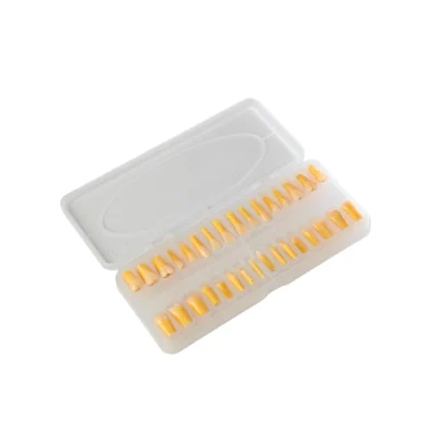 Evodent 200 PRO Caries Teeth