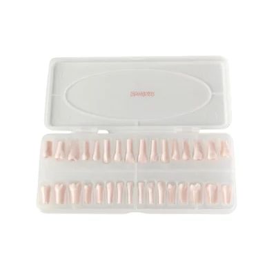Home | Buy Now At Evodent Evodent 200 pro normal teeth, replacement teeth, full set, compatible with nissin 200