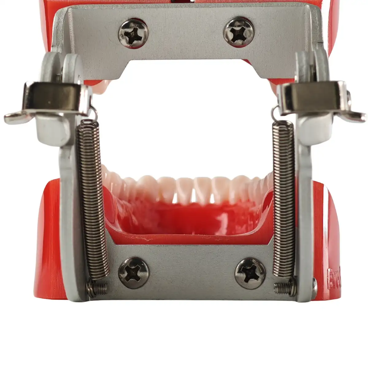 Evodent Fe Articulator | Buy Now At Evodent Evodent fe articulator