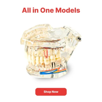 Home | Buy Now At Evodent All in one models category navigation poster