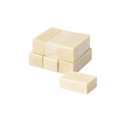 Evodent Bone Graft Practice Model