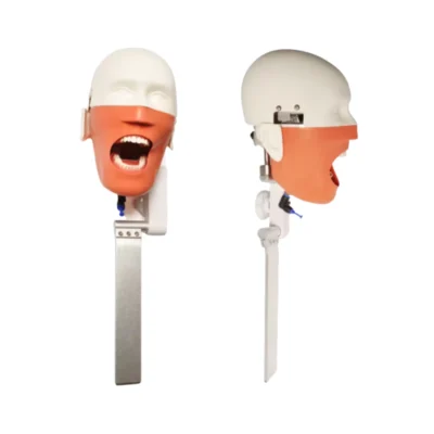 Evodent Chair Headrest Replacement Phantom Head designed for dental training chairs to provide realistic patient simulation. Made from durable, skin-like material for enhanced practice and accurate positioning. Ideal for dental colleges and clinics.