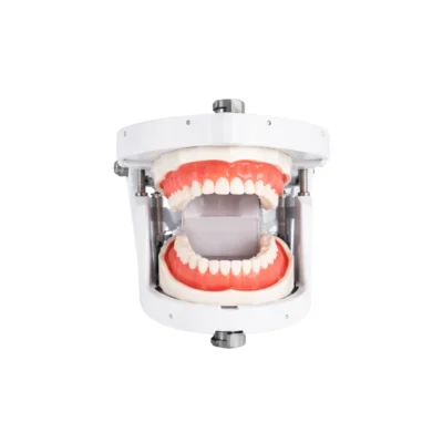 Evodent Magnetic Articulator for Phantom Head designed for easy mounting and articulation of typodont jaws during dental training. Magnetic system allows quick attachment and precise positioning for simulation practice. Suitable for dental colleges and training labs