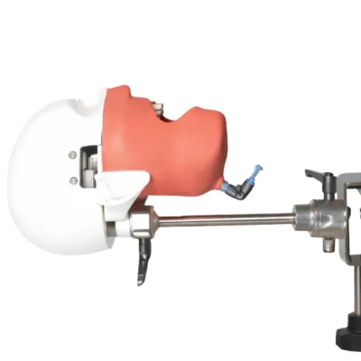 Evodent Magnetic Phantom Head Evodent Magnetic Phantom Head