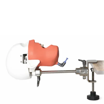 Evodent Magnetic Phantom Head is a high-quality dental training simulator designed for realistic preclinical practice. It features magnetic mounting for easy positioning and stable hands-on training for students and dental professionals. Ideal for typodont and dental lab simulation exercises.