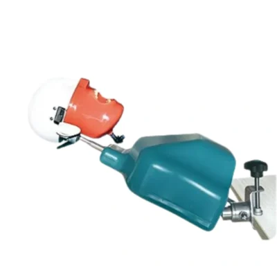 Evodent Phantom Head with Torso Attachment designed for realistic dental training and patient simulation. Torso attachment provides stable mounting on dental chairs for accurate practice procedures. Ideal for dental colleges, universities, and clinical training labs