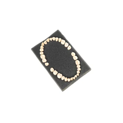 Evodent Plastic Teeth Set for Orthodontic Training and Articulation, Straight Training Teeth