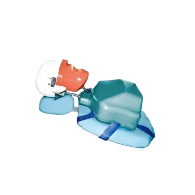 Evodent Torso Strap Phantom Head on Chair designed for realistic dental training and patient simulation. Secure torso strap system ensures stable positioning on dental chairs during practice sessions. Ideal for dental colleges, labs, and clinical skill training.