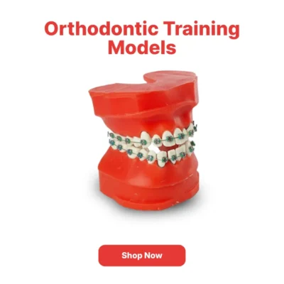 Home | Buy Now At Evodent Orthodontic training models category navigation poster