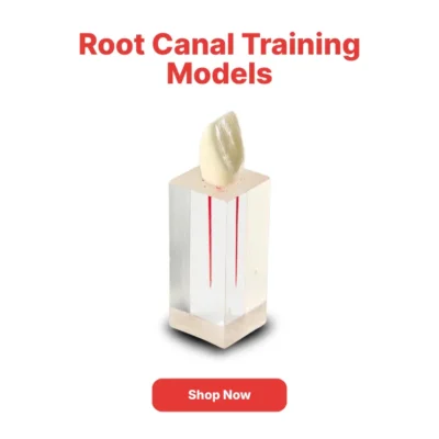 Home | Buy Now At Evodent Root canal training models category navigation poster