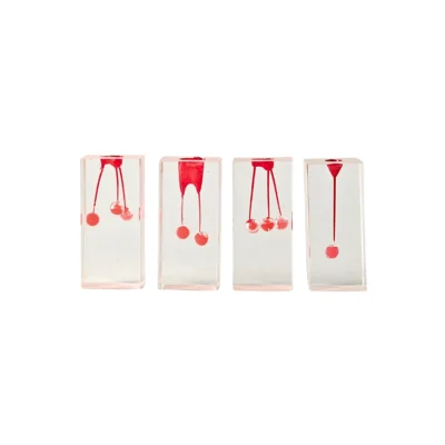 Evodent Endodontic Training Model, Pack of 4