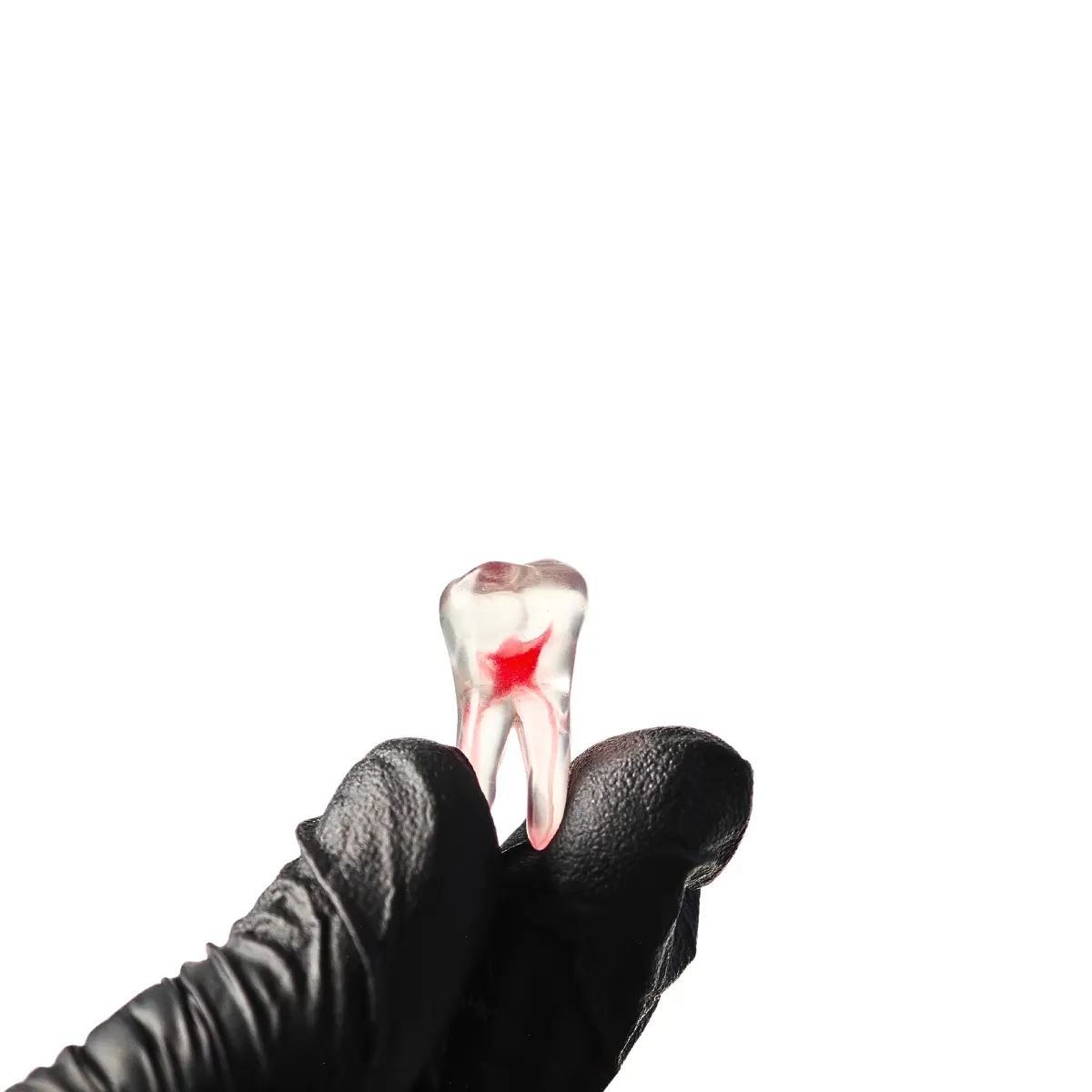 Evodent Cavity Preparation Practice Teeth, Natural Tooth Simulation, Pack Of 4 | Buy Now At Evodent Evodent realistic teeth for cavity cutting, pack of 4