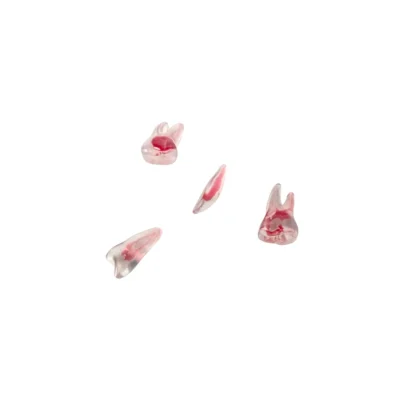 Evodent Realistic Teeth for Cavity Cutting, Pack of 4