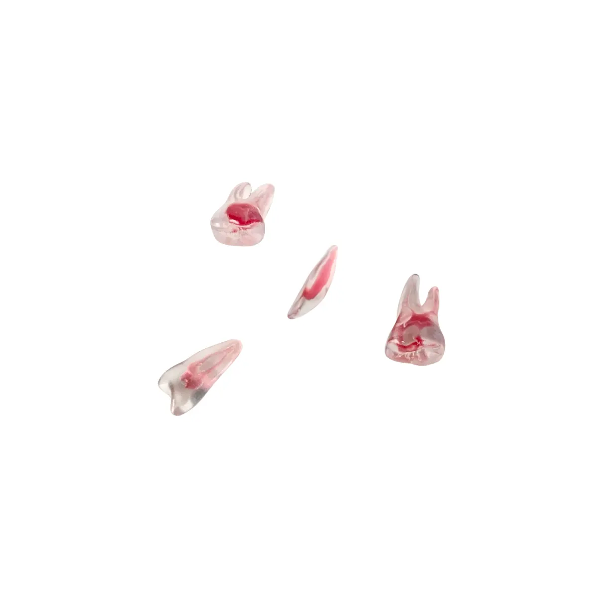Evodent Cavity Preparation Practice Teeth, Natural Tooth Simulation, Pack Of 4 | Buy Now At Evodent Evodent realistic teeth for cavity cutting, pack of 4