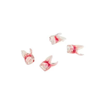 Evodent Tooth for Pulp Chamber and Cavity Filling, Pack of 1