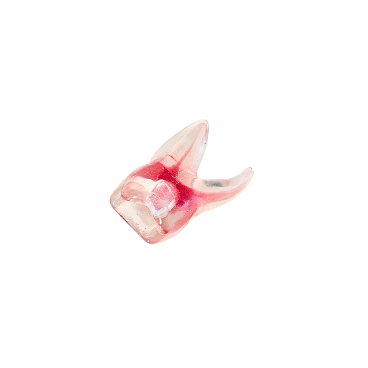Evodent Molar Cavity Filling Practice Tooth, Pulp Chamber Training Model | Buy Now At Evodent Evodent tooth for pulp chamber and cavity filling, pack of 1