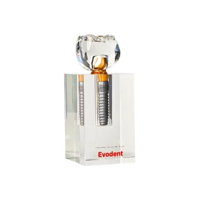 Evodent Implant Display Demonstration Model