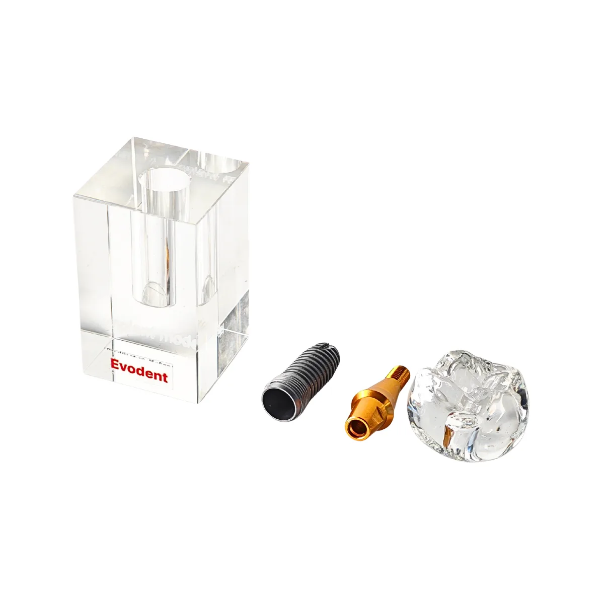 Evodent Large Crystal Dental Implant Demonstration Model - Removable Crown And Implant Components | Buy Now At Evodent Evodent implant display demonstration model
