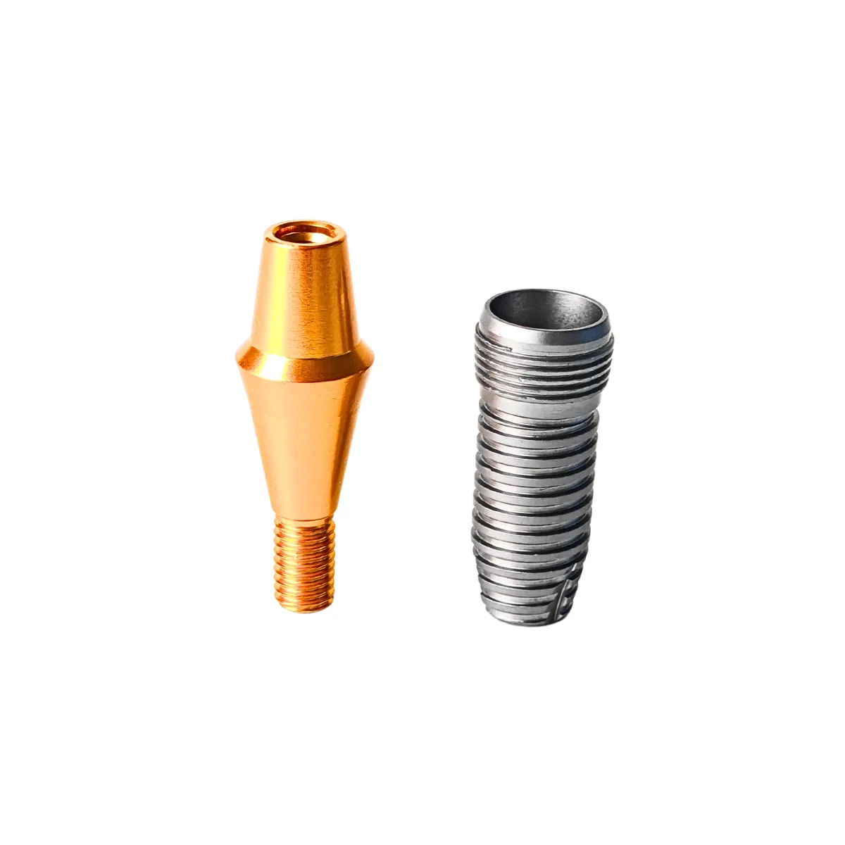 Evodent Large Crystal Dental Implant Demonstration Model - Removable Crown And Implant Components | Buy Now At Evodent Evodent implant display demonstration model