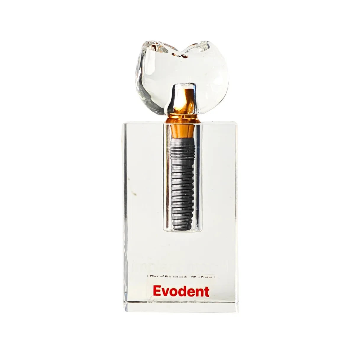 Evodent Large Crystal Dental Implant Demonstration Model - Removable Crown And Implant Components | Buy Now At Evodent Evodent implant display demonstration model