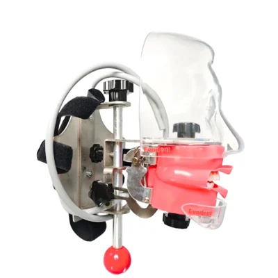 Evodent Headrest Mount Phantom Head