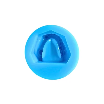 Evodent Partial Dentulous Mold Silicone Plaster Mold, Upper and Lower Jaw Evodent Partial Dentulous Mold Silicone Plaster Mold, Upper and Lower Jaw